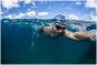 Zoggs Predator Flex Titanium Reactor Swimming Goggles